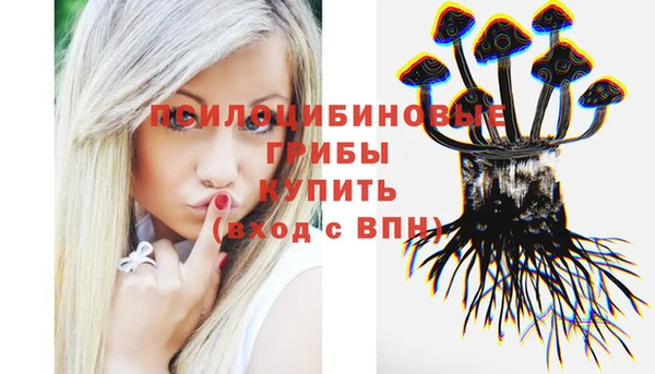 mdma Кодинск