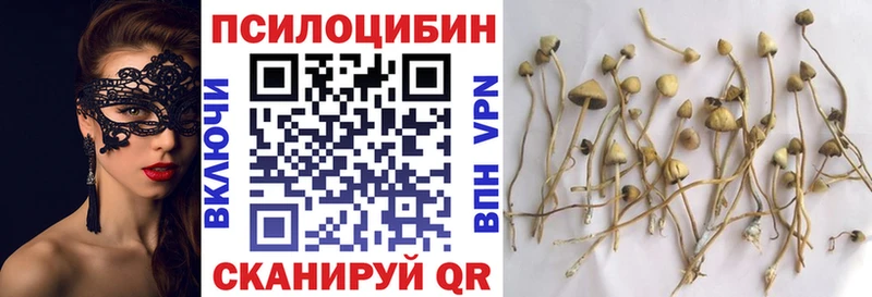 Псилоцибиновые грибы прущие грибы  Купить  Бугульма 